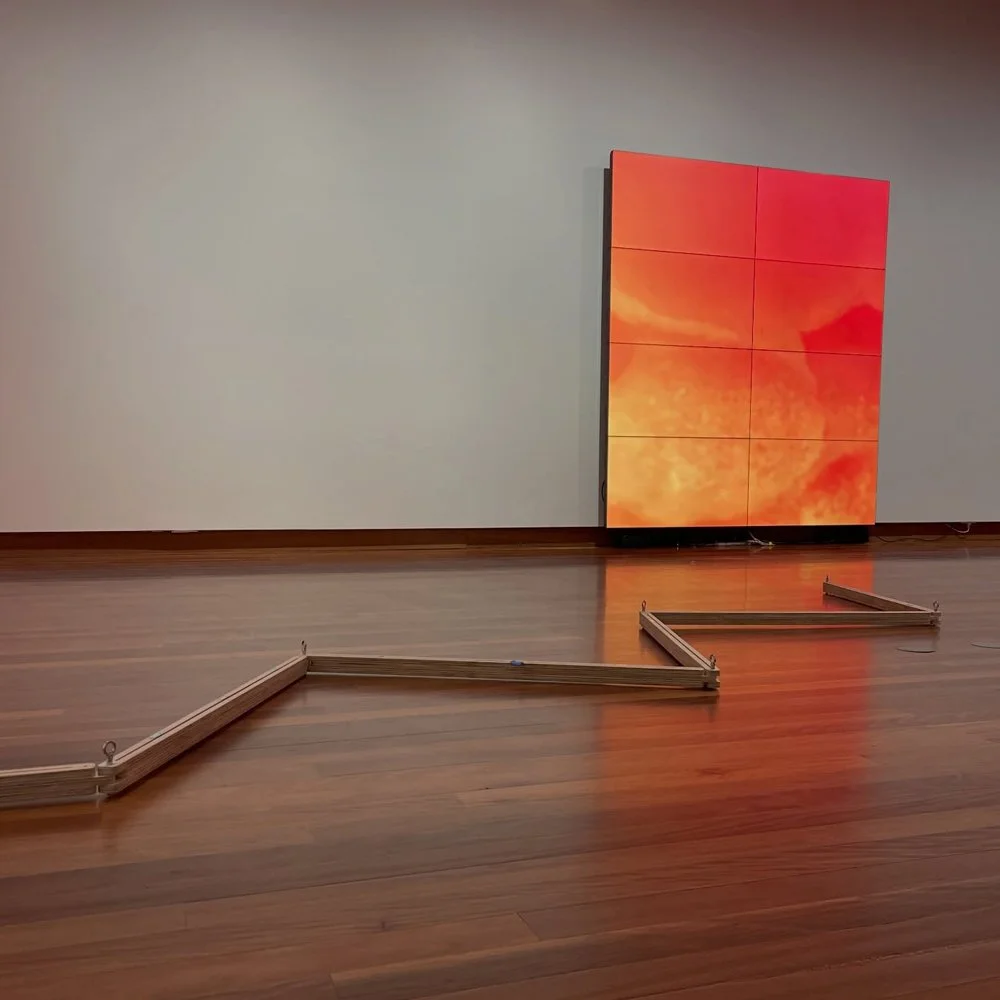 Gracia and Louise Velvet ant 2026_16.jpg