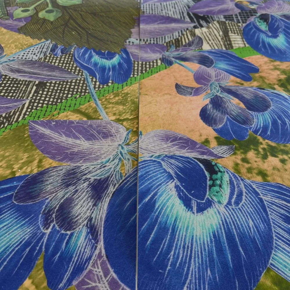 Gracia and Louise Velvet ant 2026_19.jpg