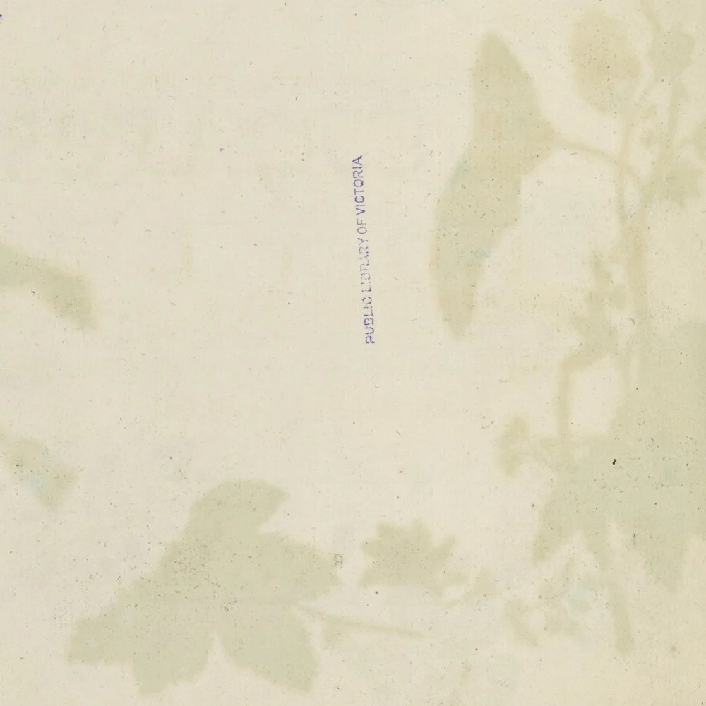 Gracia and Louise Velvet ant 2026_27.jpg