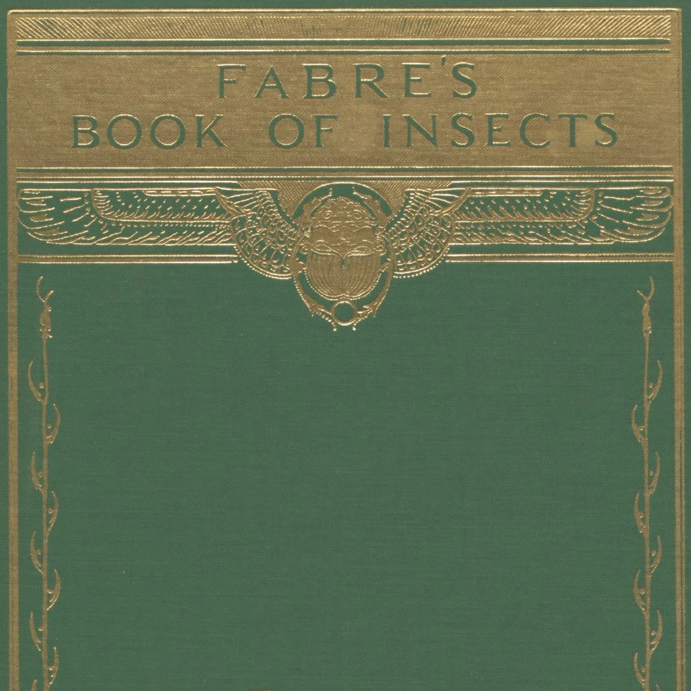 Gracia and Louise Velvet ant 2026_28.jpg