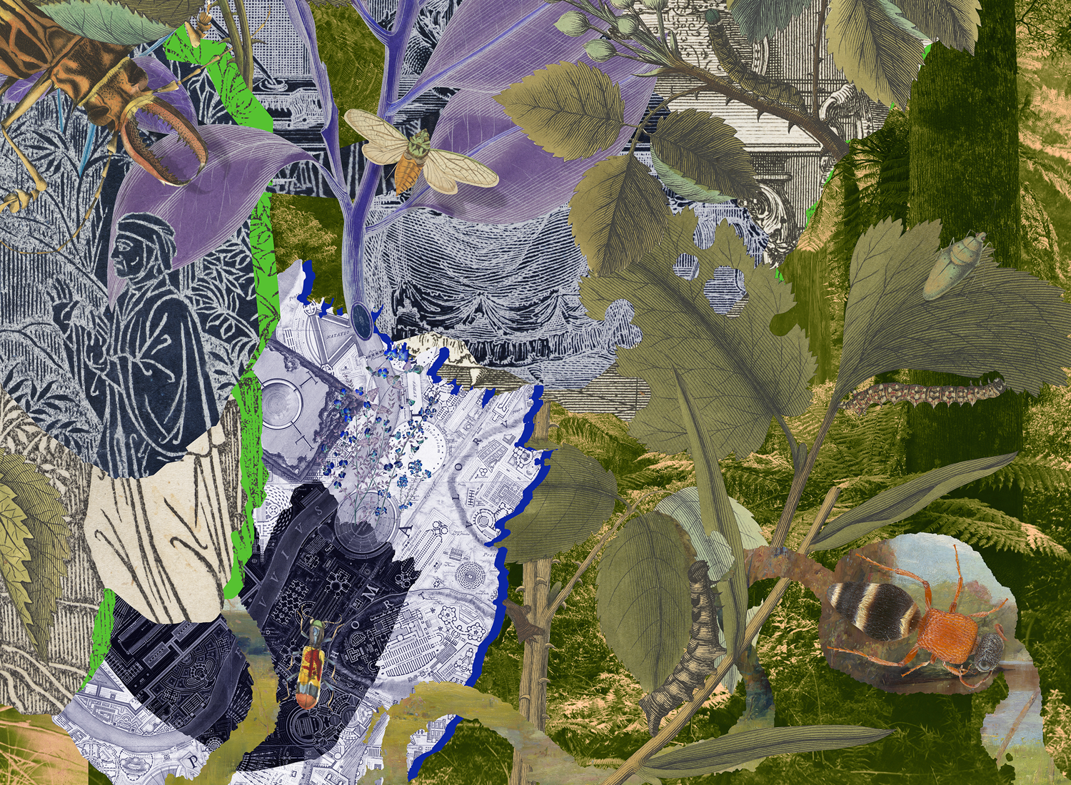 A VELVET ANT, A FLOWER AND A BIRD