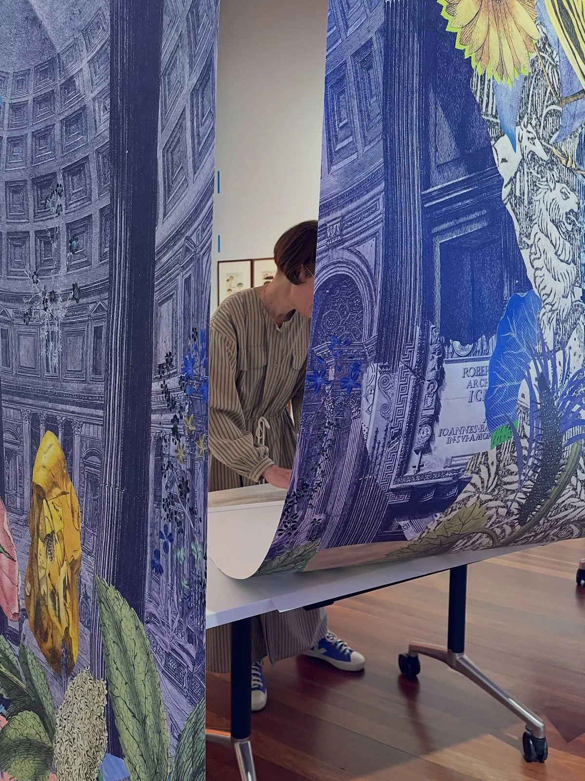 Gracia Haby Louise Jennison_entomology 20.jpg