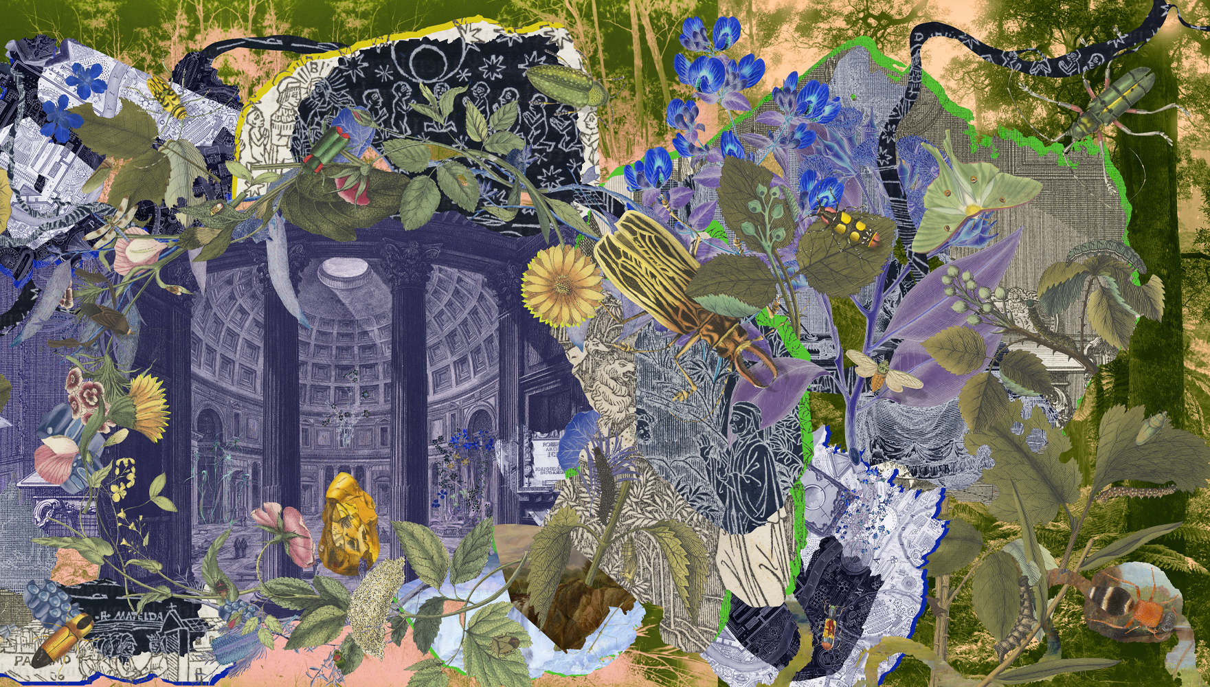 Gracia Haby_Louise Jennison_A velvet ant a flower and a bird_detail.png