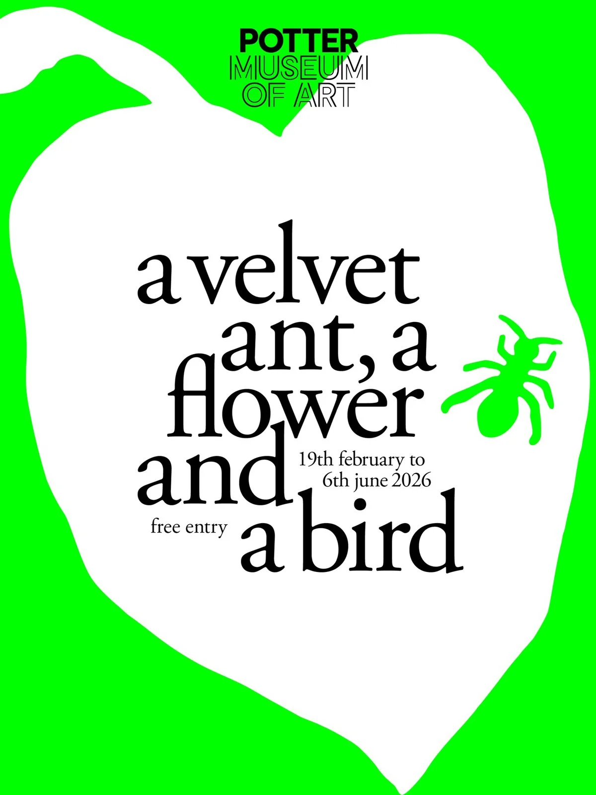 Velvet ant Potter Museum of Art_gracia and louise 60.jpg