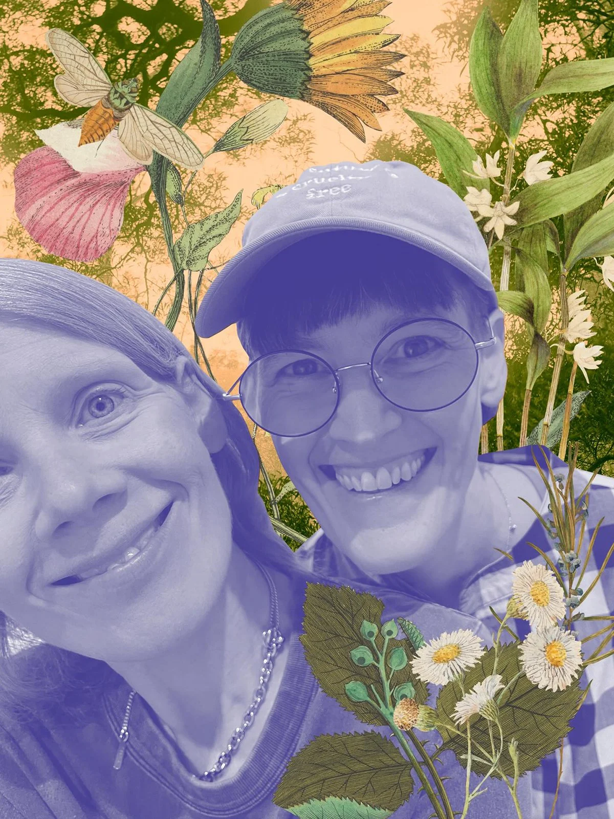 MY GARGEN PATH: GARDENING AUSTRALIA