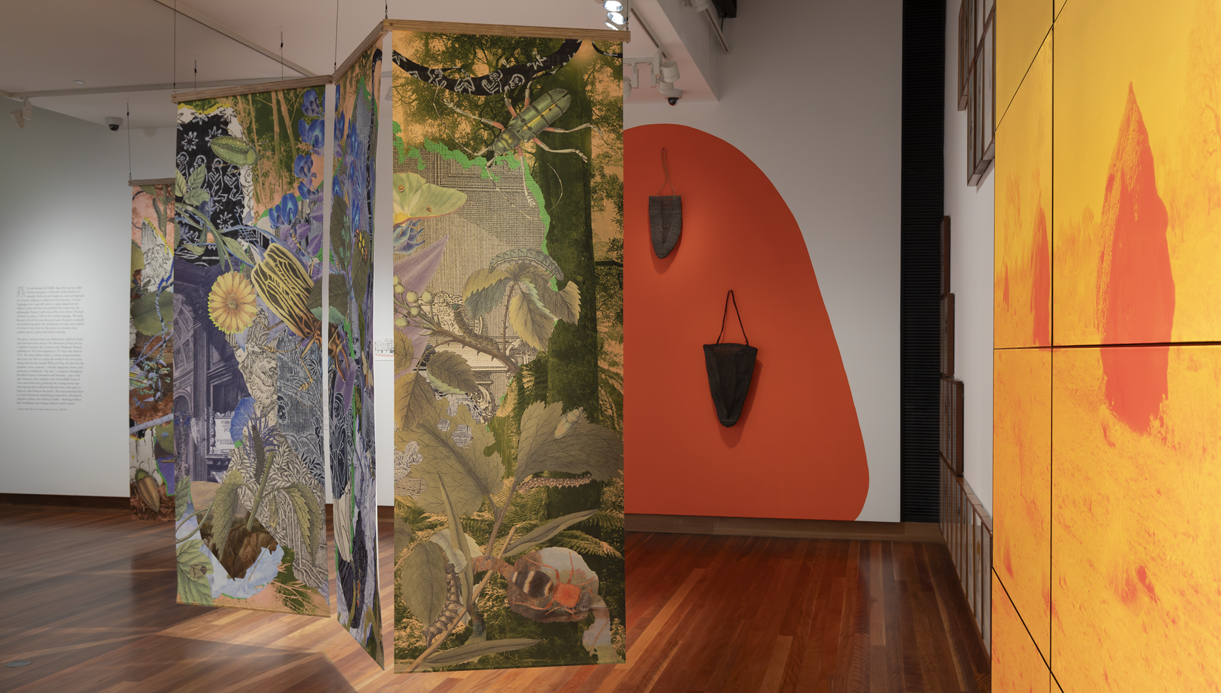 Gracia Haby_Louise Jennison_A velvet ant a flower and a bird_installation view 04.png