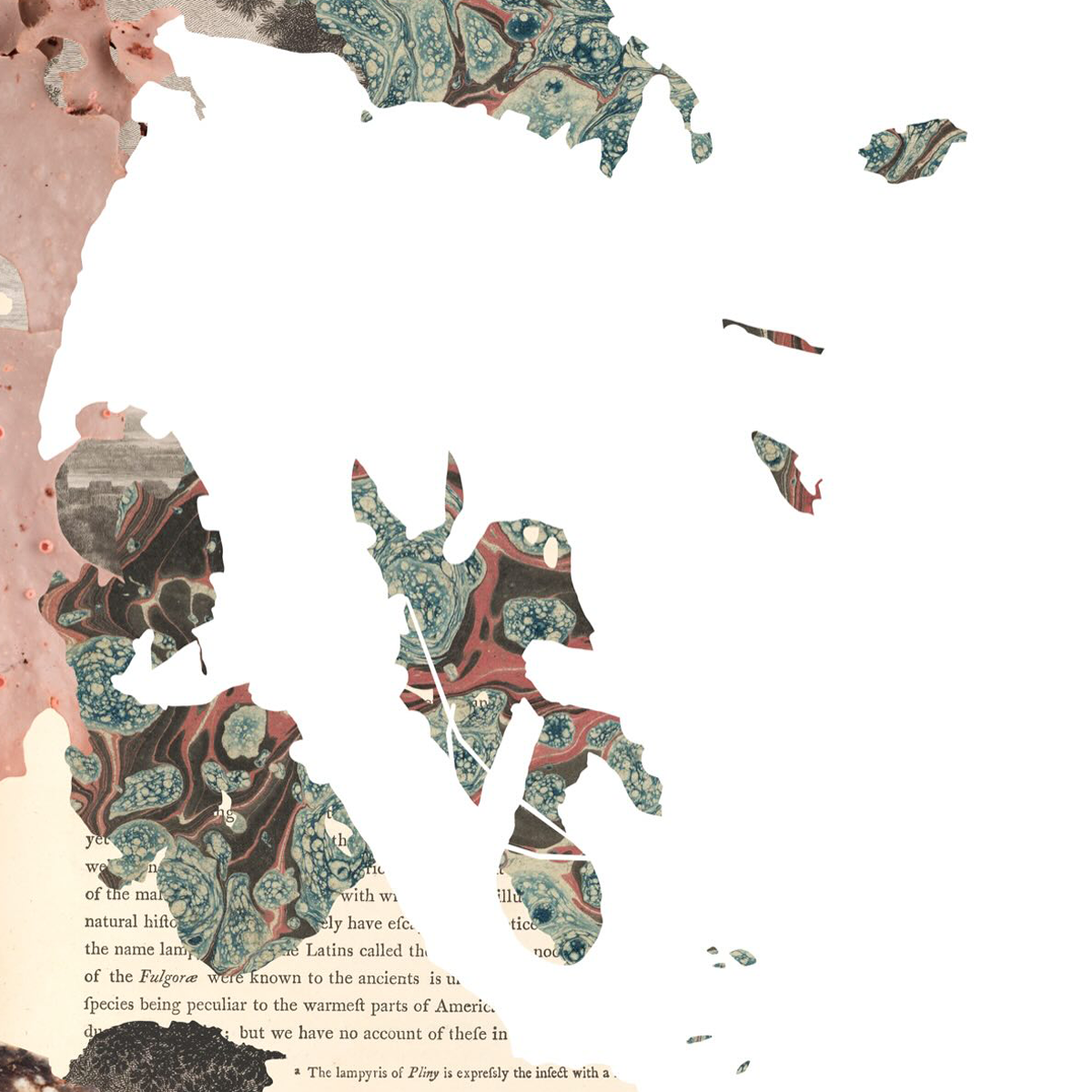 Gracia Haby_Louise Jennison_can we dream it 2026_02.png