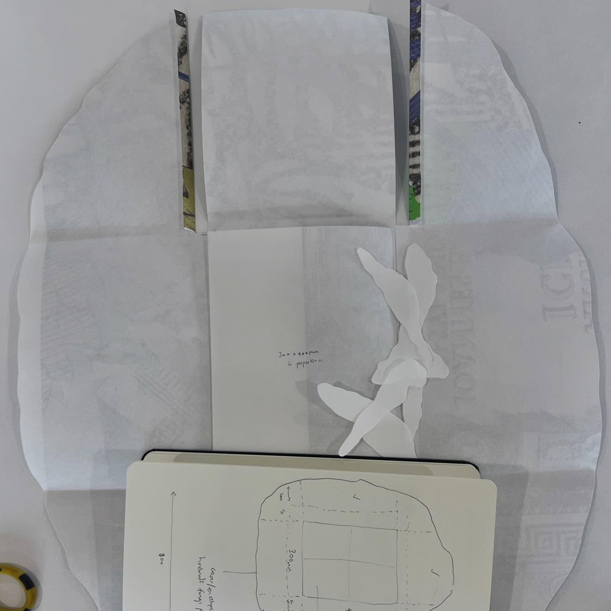 Gracia Haby_Louise Jennison_can we dream it 2026_03.png