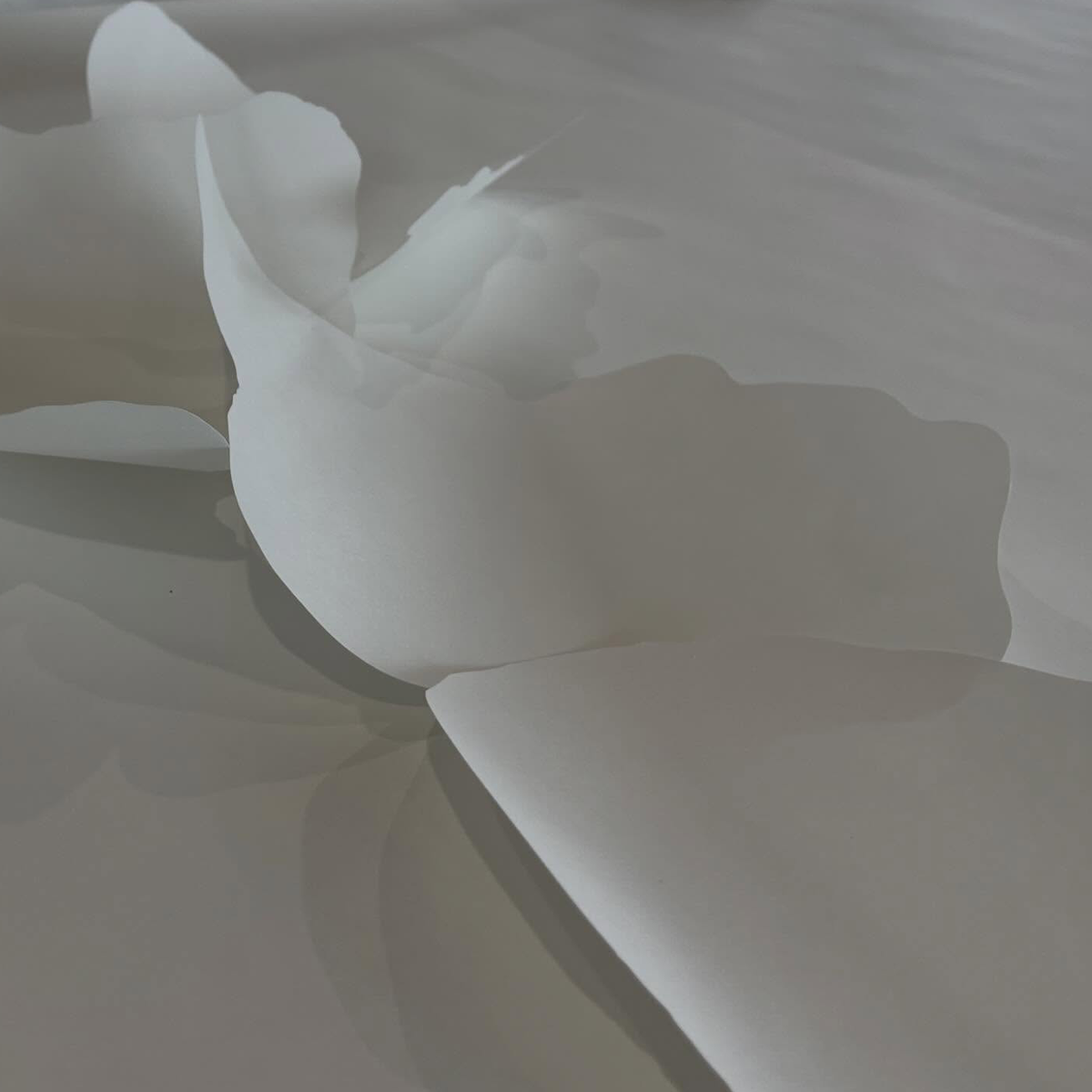 Gracia Haby_Louise Jennison_can we dream it 2026_07.png