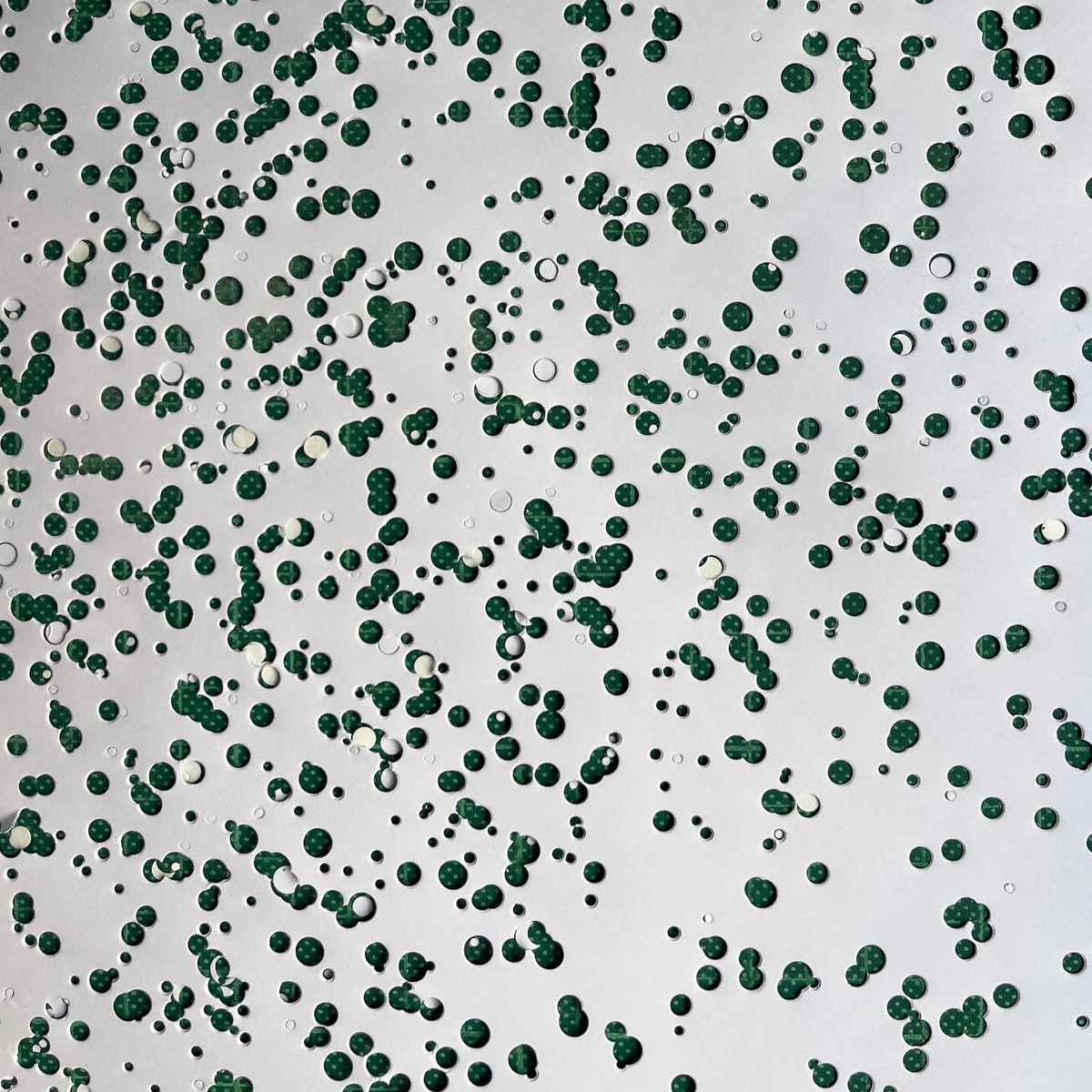 Gracia Haby_Louise Jennison_can we dream it 2026_02.png