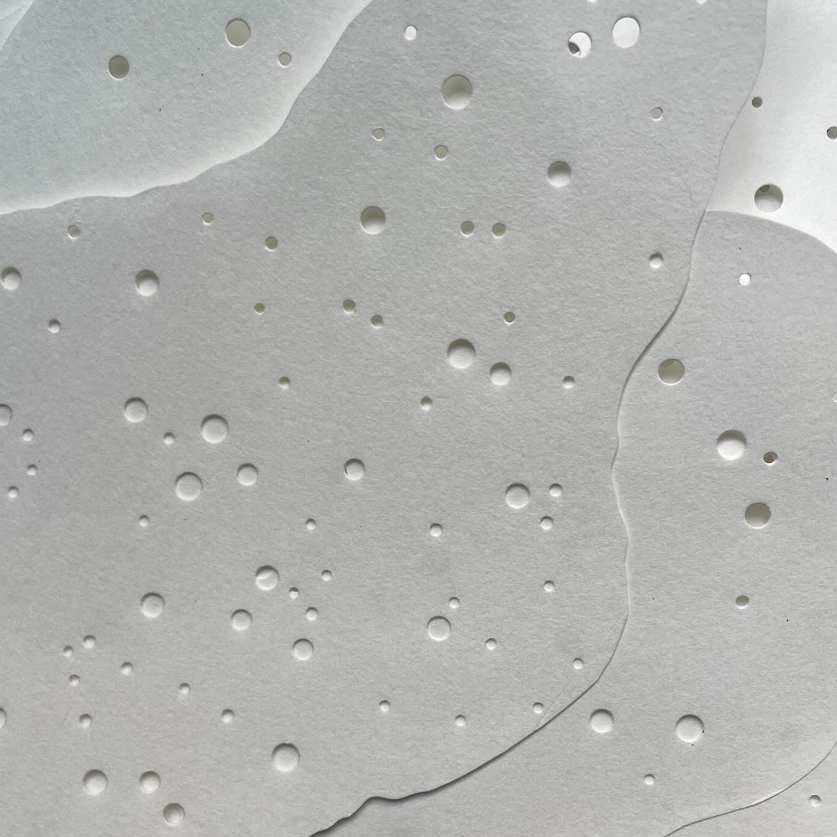 Gracia Haby_Louise Jennison_can we dream it 2026_12.png