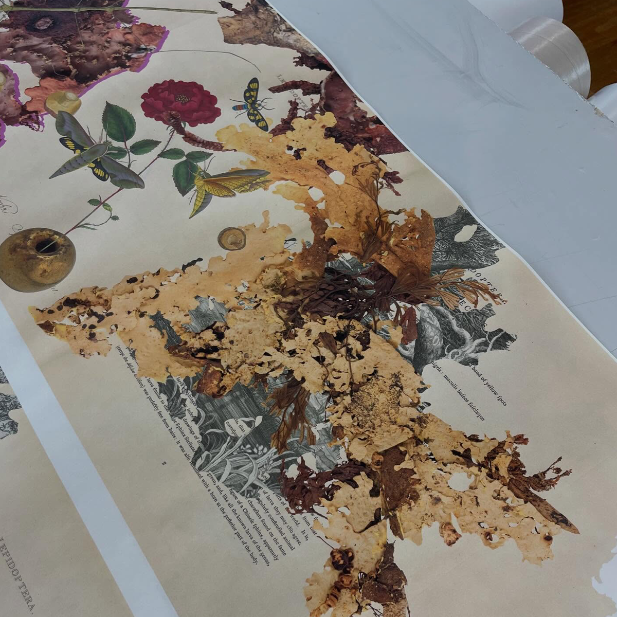 Gracia Haby_Louise Jennison_can we dream it 2026_11.png