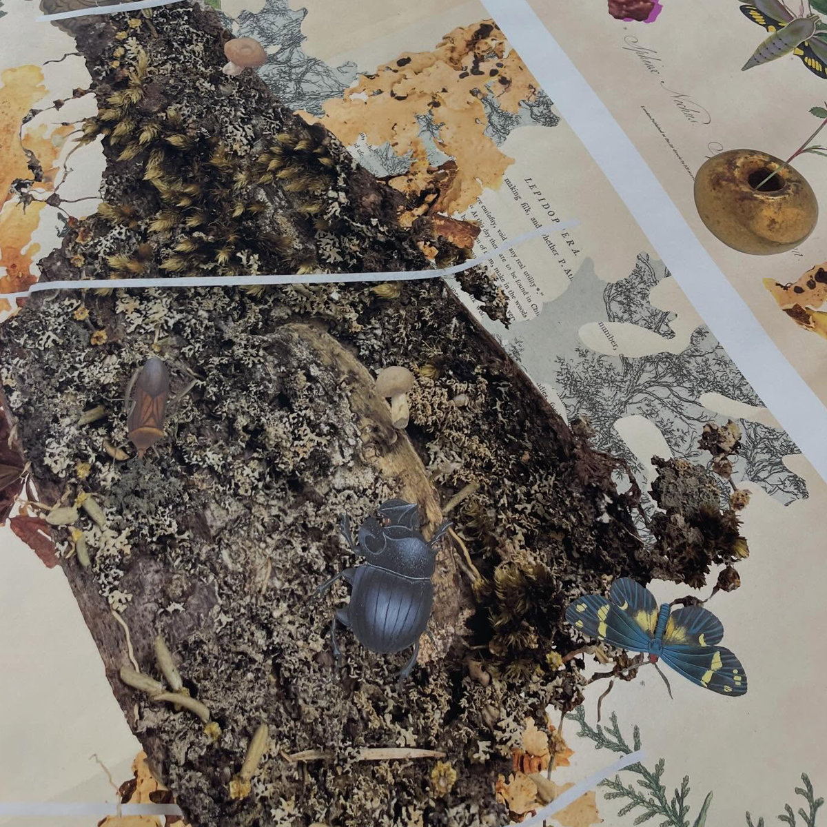 Gracia Haby_Louise Jennison_can we dream it 2026_13.png