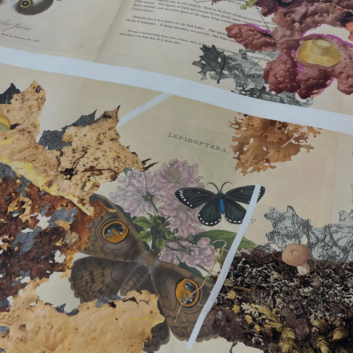 Gracia Haby_Louise Jennison_can we dream it 2026_15.png