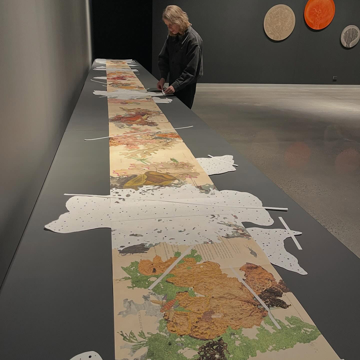 Gracia Haby_Louise Jennison_can we dream it 2026_19.png