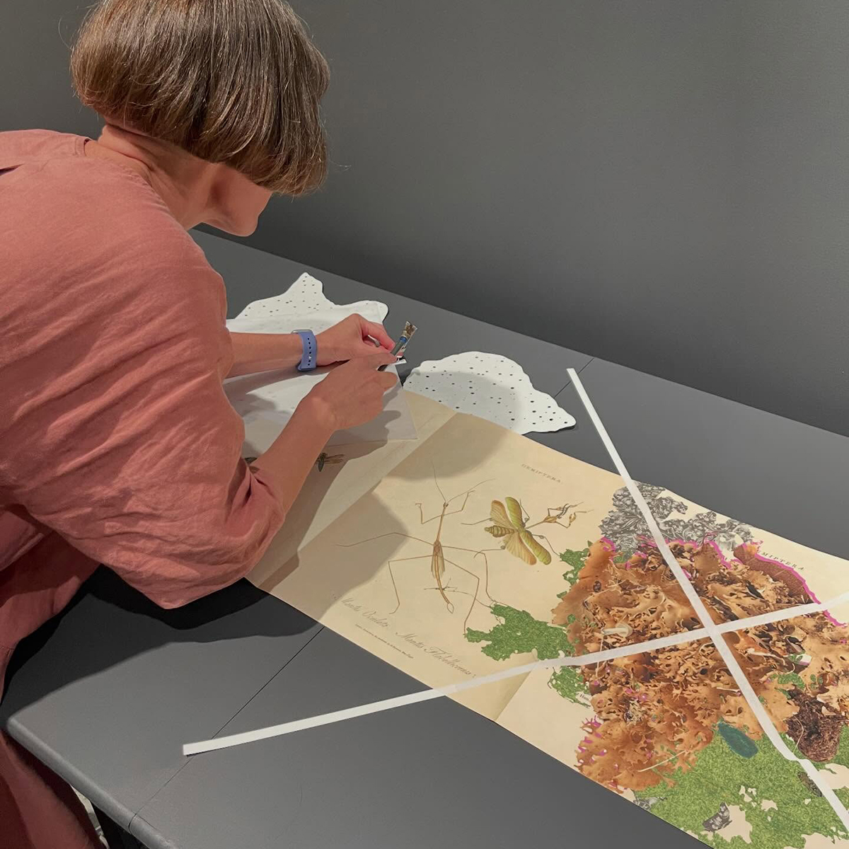 Gracia Haby_Louise Jennison_can we dream it 2026_20.png