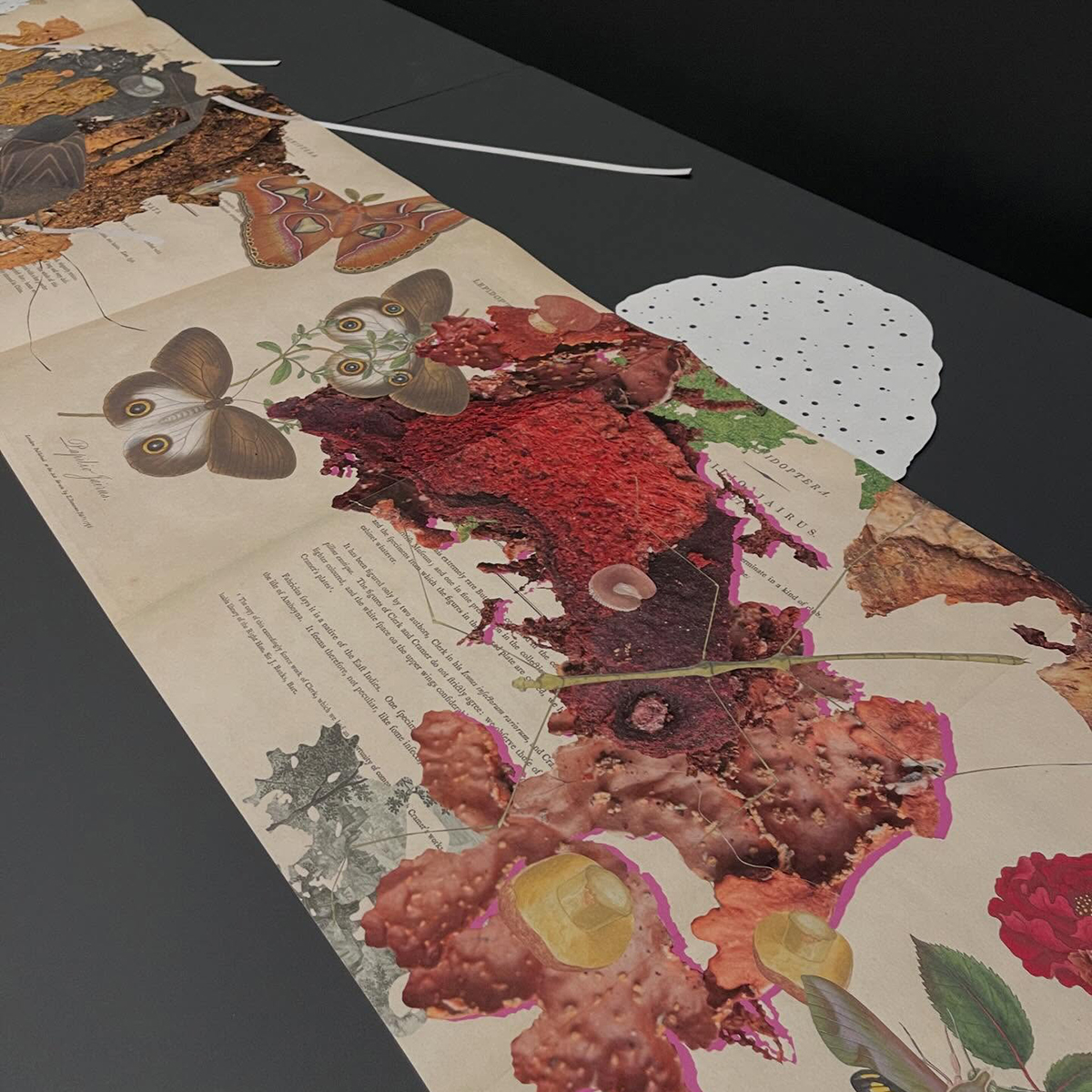 Gracia Haby_Louise Jennison_can we dream it 2026_21.png