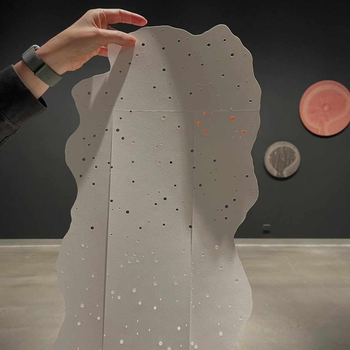 Gracia Haby_Louise Jennison_can we dream it 2026_23.png