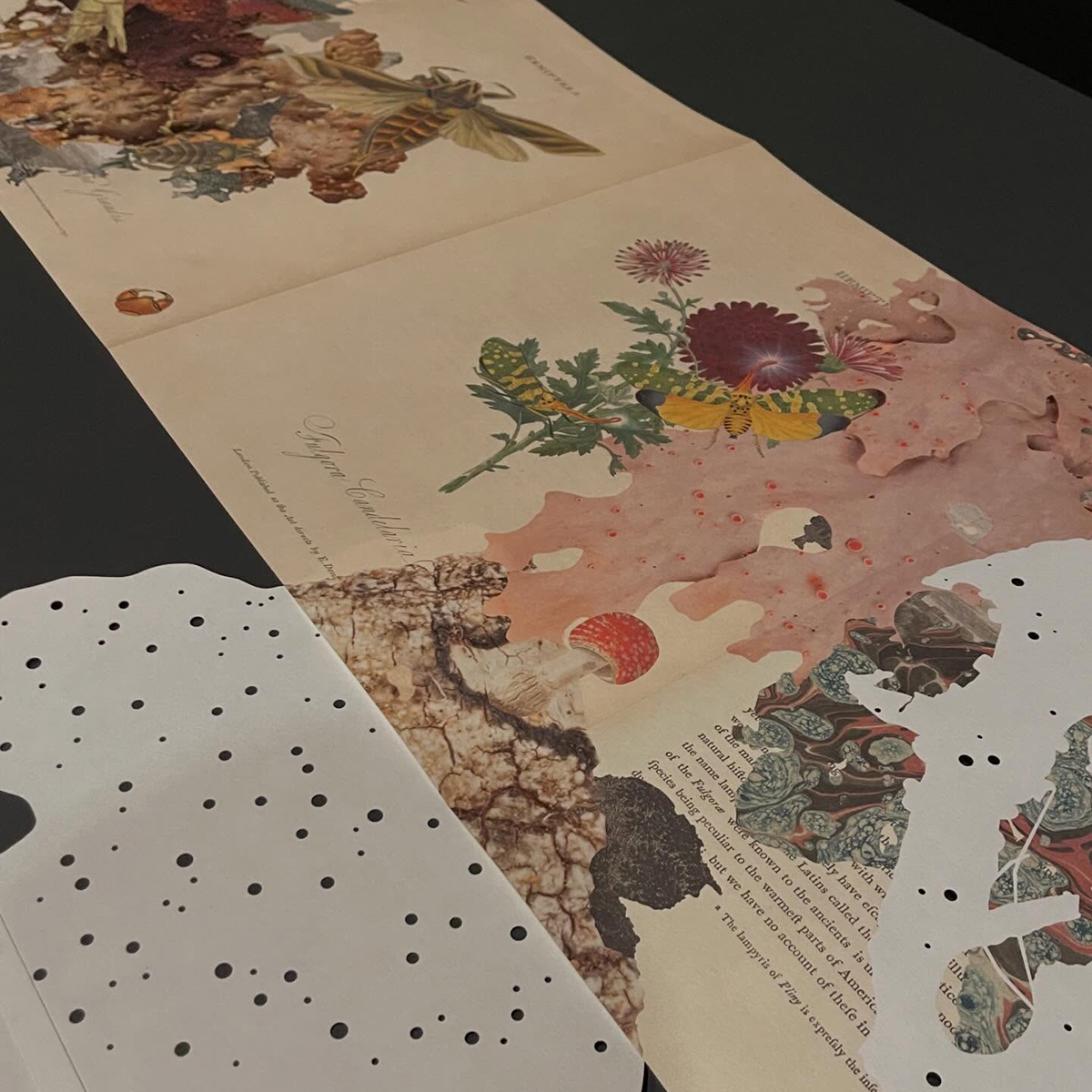 Gracia Haby_Louise Jennison_can we dream it 2026_28.png