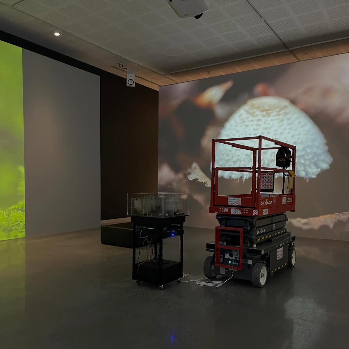 Gracia Haby_Louise Jennison_can we dream it 2026_29.png