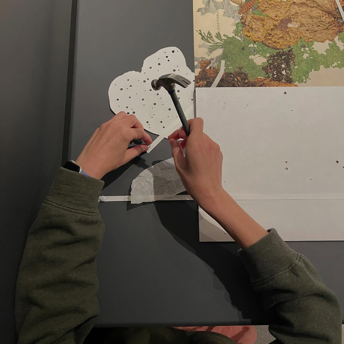 Gracia Haby_Louise Jennison_can we dream it 2026_32.png