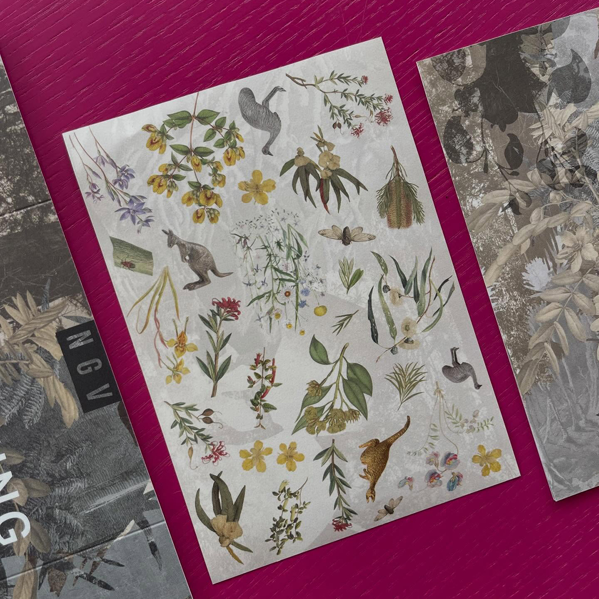 Gracia Haby_Louise Jennison_remaking home 2026_03.png