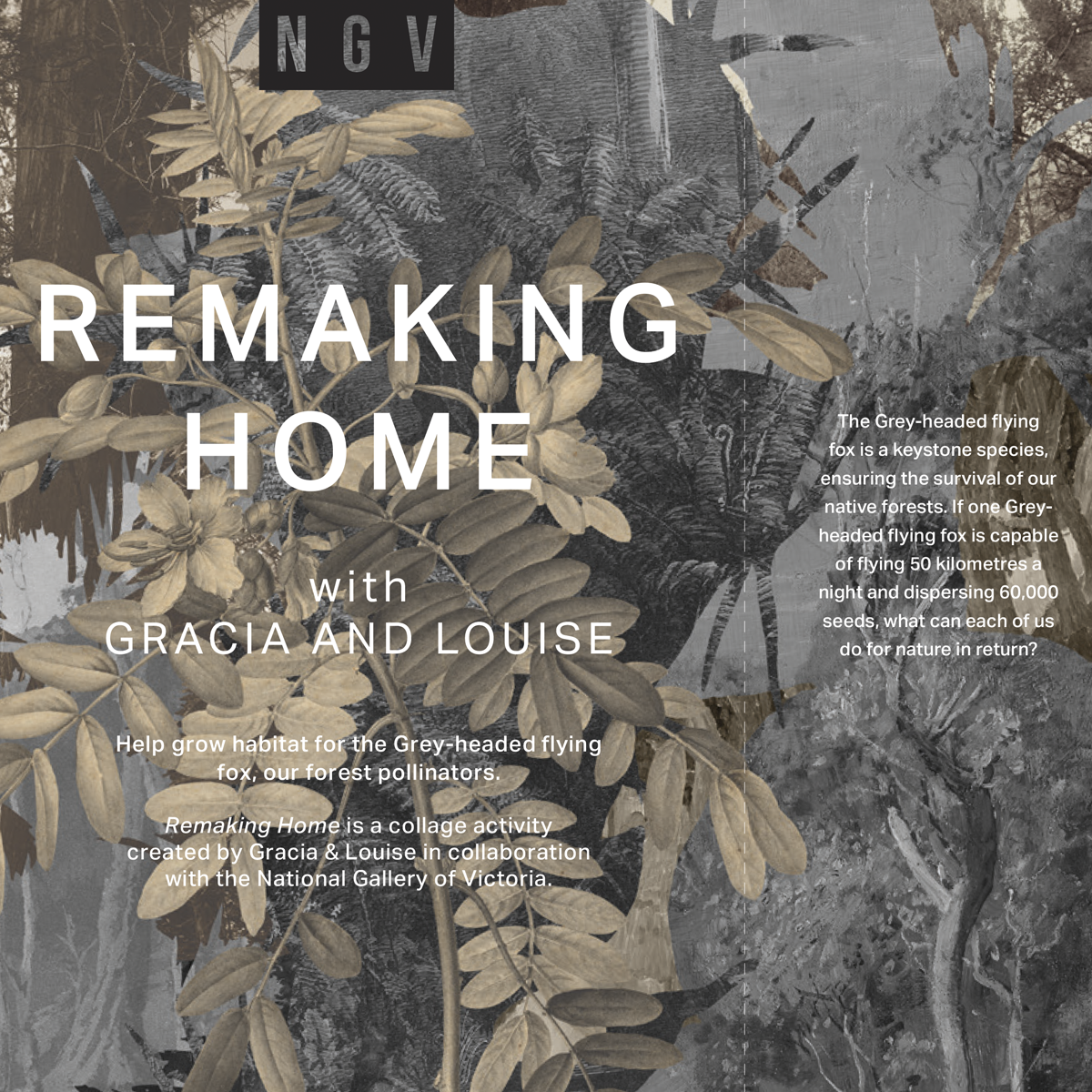 Gracia Haby_Louise Jennison_remaking home 2026_05.png