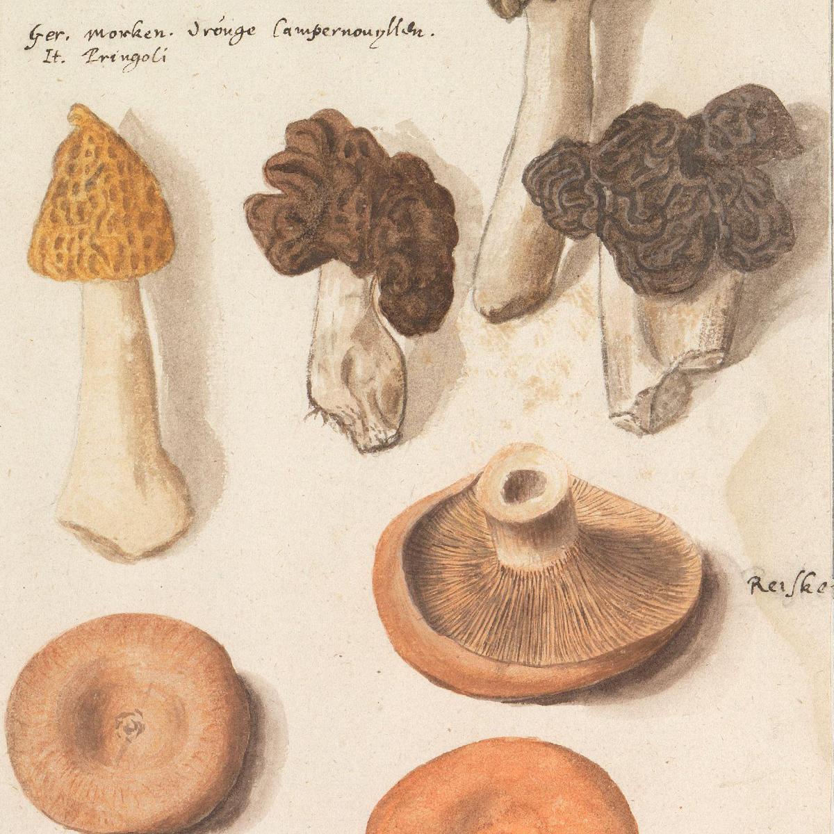 Gracia Haby_Louise Jennison_can we dream it 2026_36.png