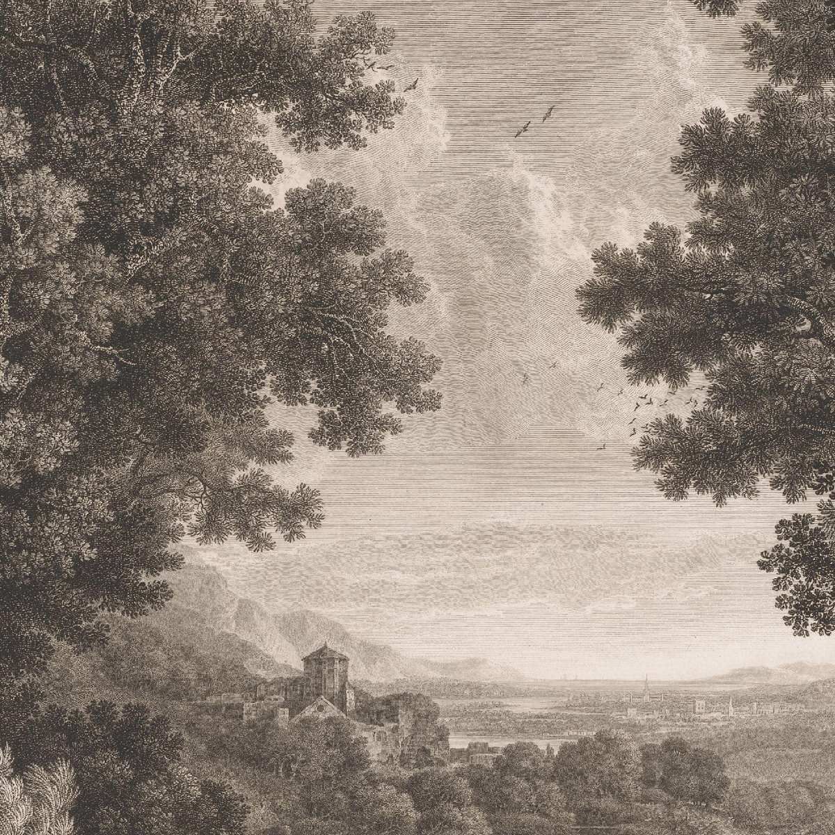 Gracia Haby_Louise Jennison_can we dream it 2026_37.png