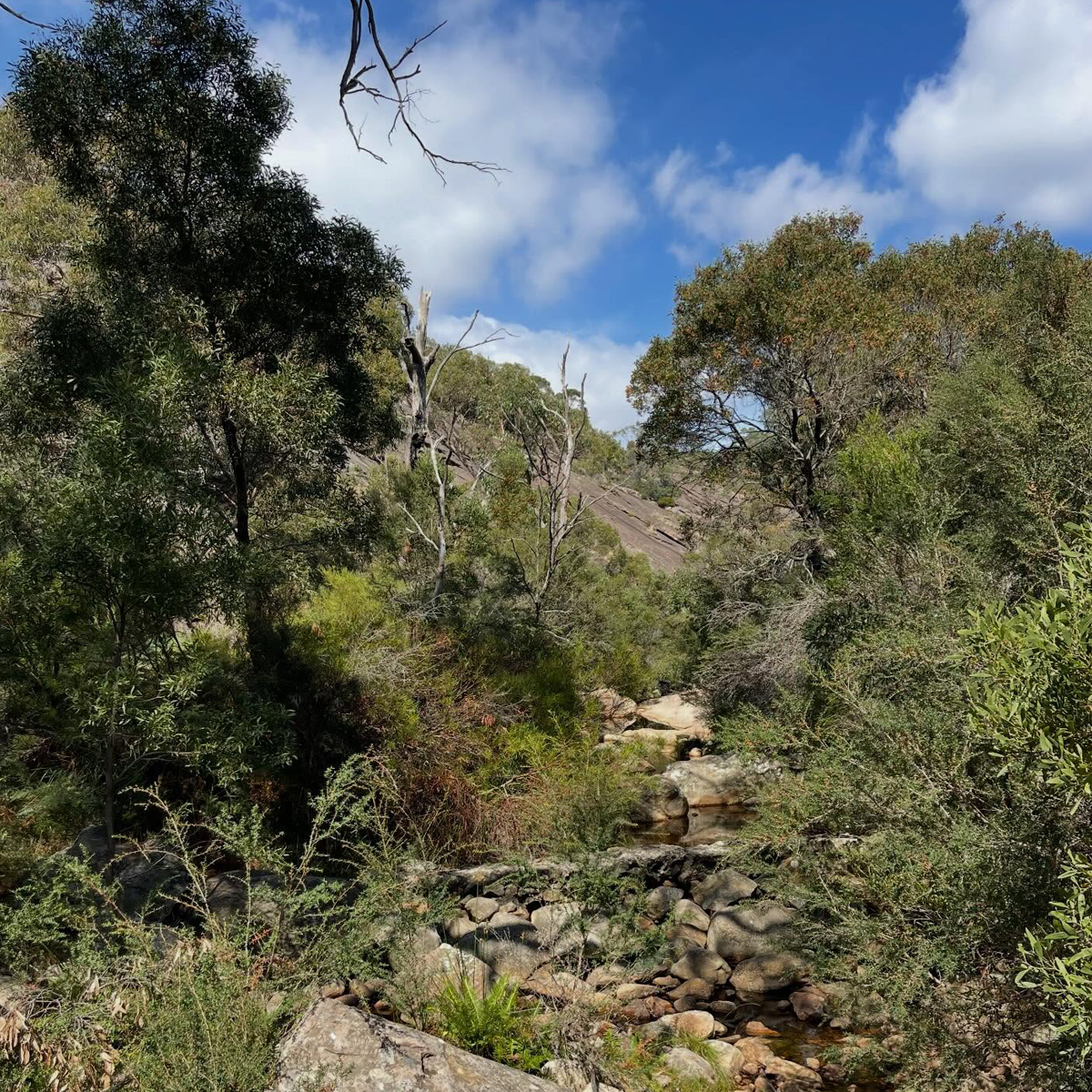 Gracia Haby_Louise Jennison_Entanglements exhibition 2026_16.png