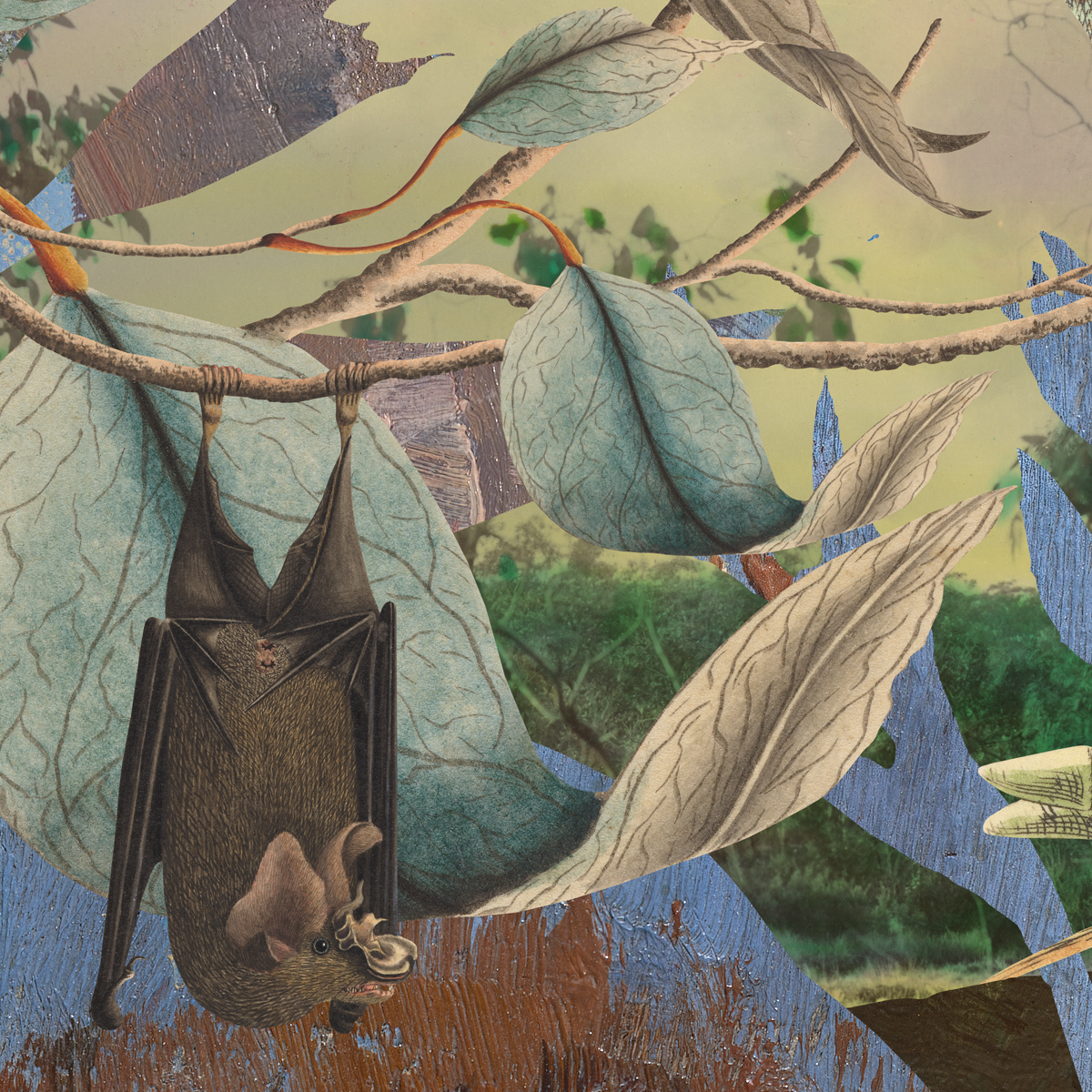 Gracia Haby_Louise Jennison_remaking home 2026_07.png