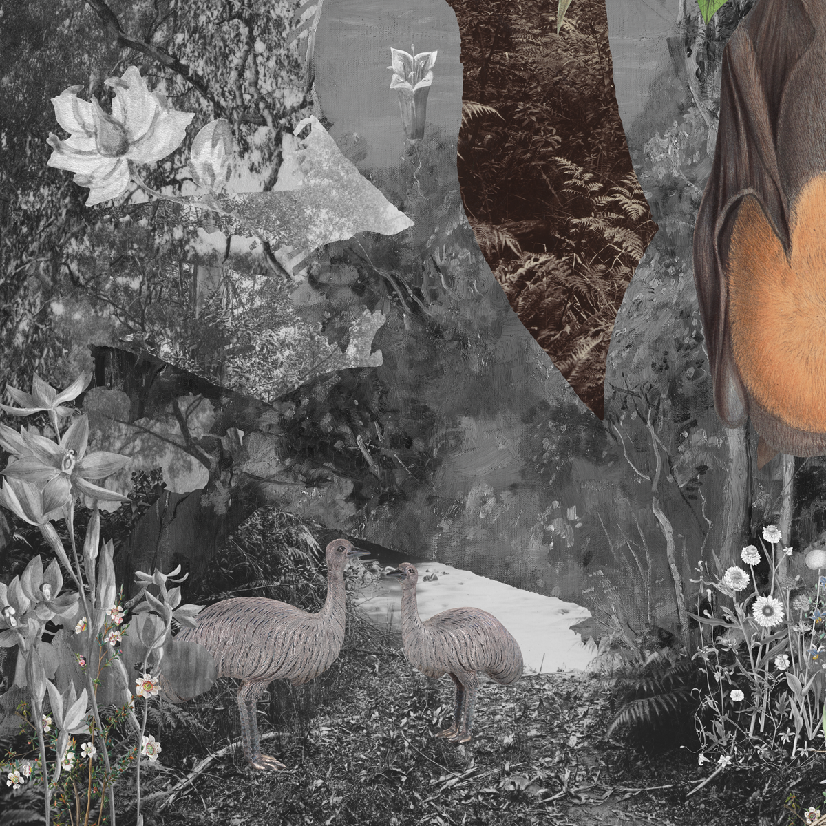 Gracia Haby_Louise Jennison_remaking home 2026_09.png