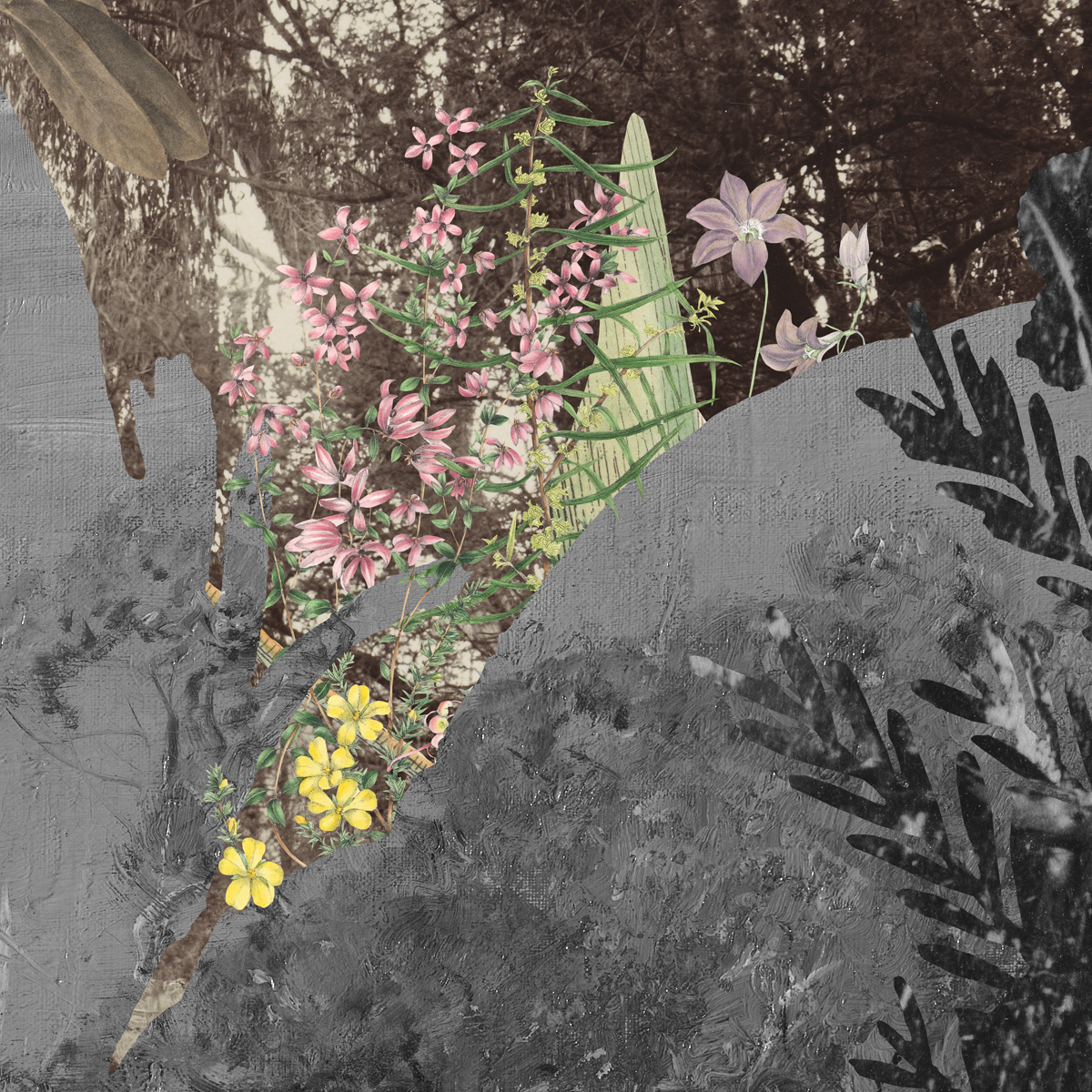 Gracia Haby_Louise Jennison_remaking home 2026_10.png