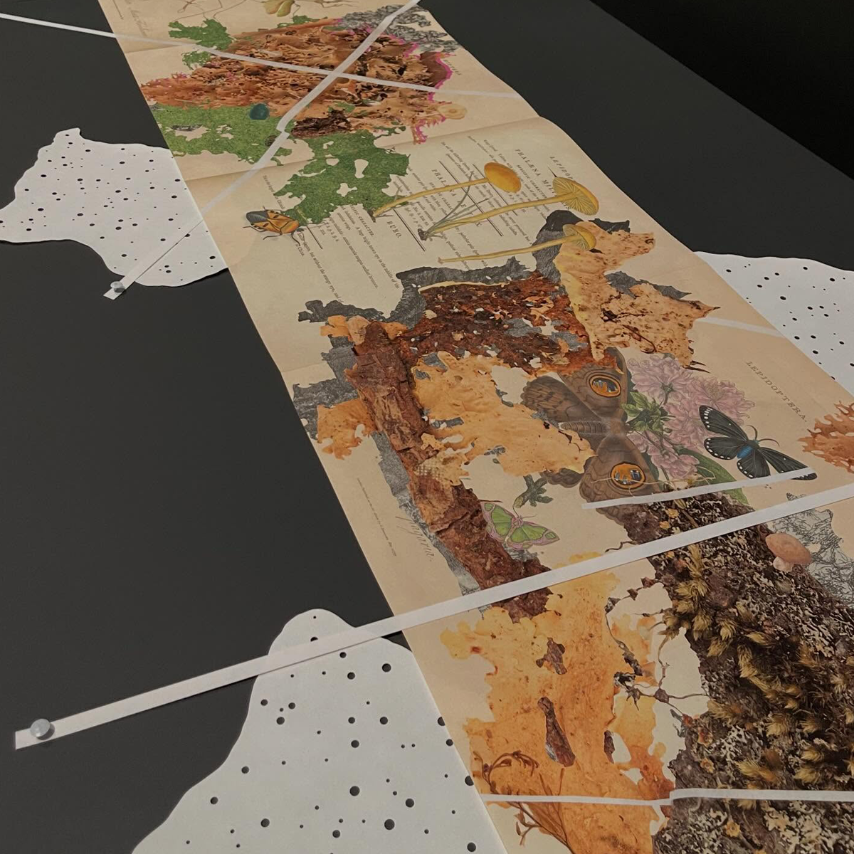 Gracia Haby_Louise Jennison_Entanglements exhibition 2026_12.png