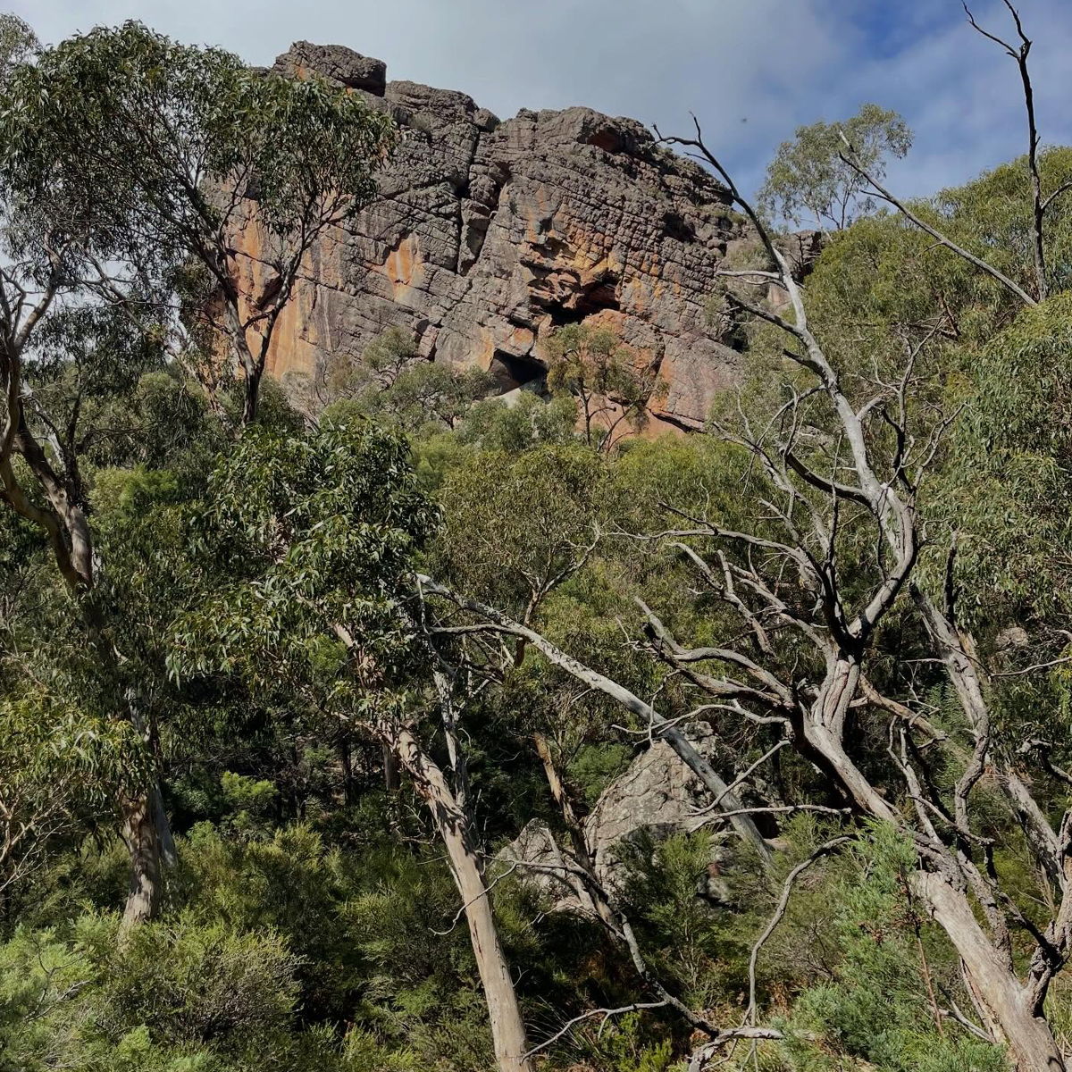 Gracia Haby_Louise Jennison_Entanglements exhibition 2026_17.png