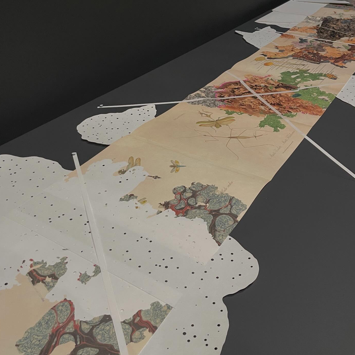 Gracia Haby_Louise Jennison_Entanglements exhibition 2026_19.png