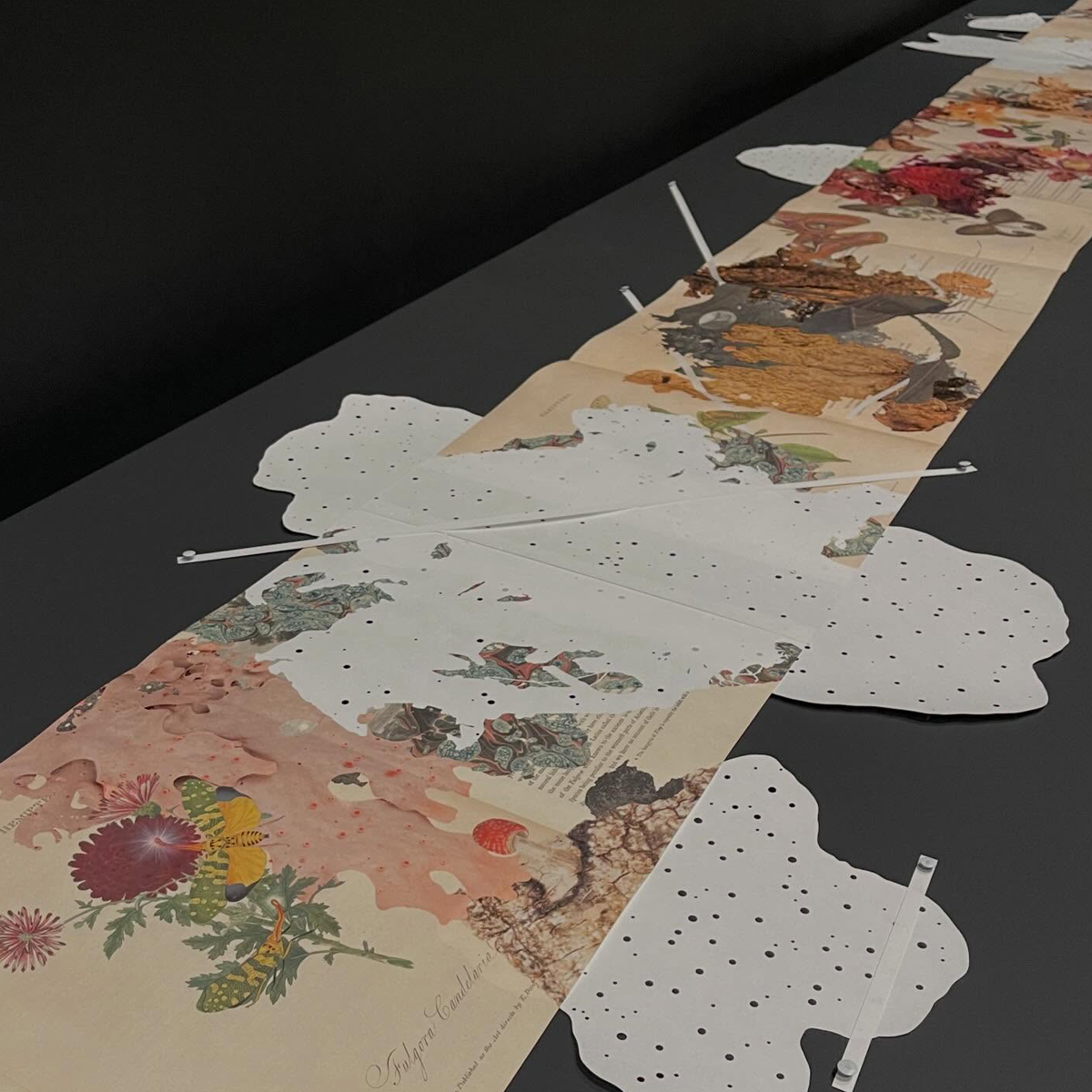 Gracia Haby_Louise Jennison_Entanglements exhibition 2026_21.png