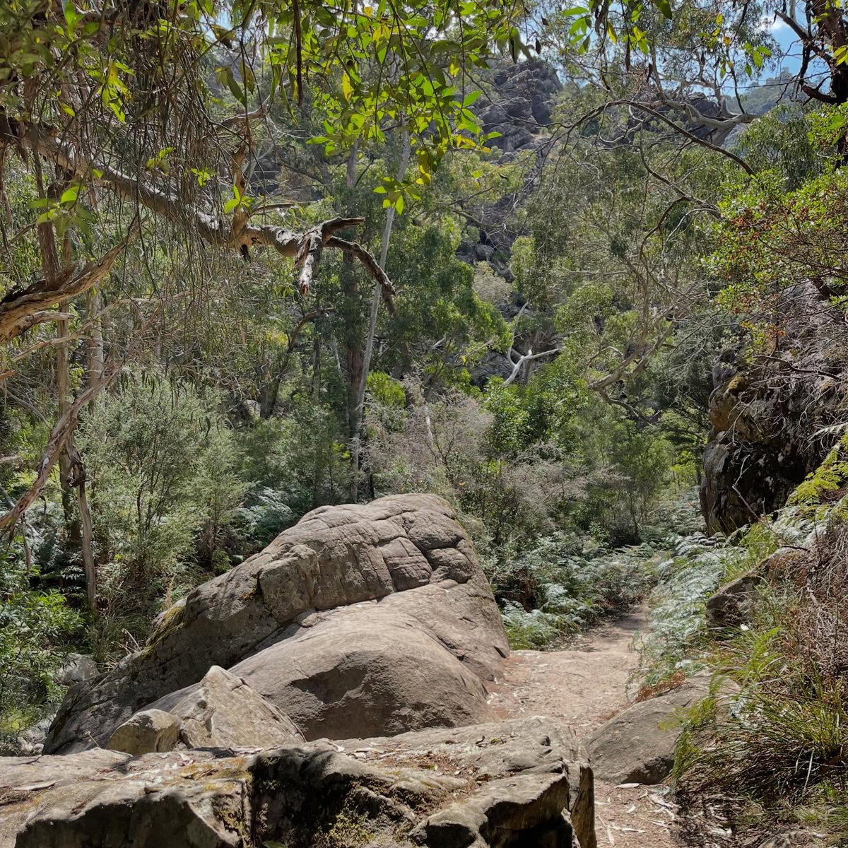 Gracia Haby_Louise Jennison_Entanglements exhibition 2026_20.png