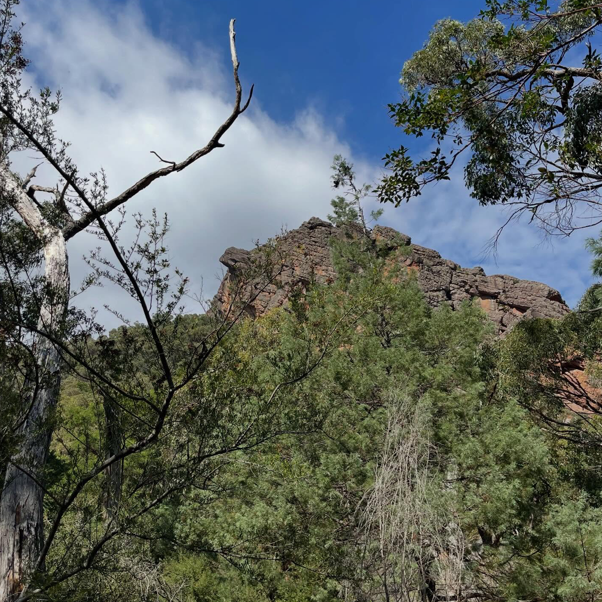 Gracia Haby_Louise Jennison_Entanglements exhibition 2026_25.png