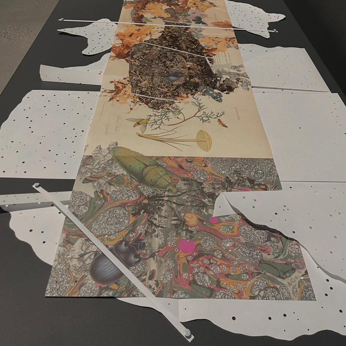 Gracia Haby_Louise Jennison_Entanglements exhibition 2026_26.png