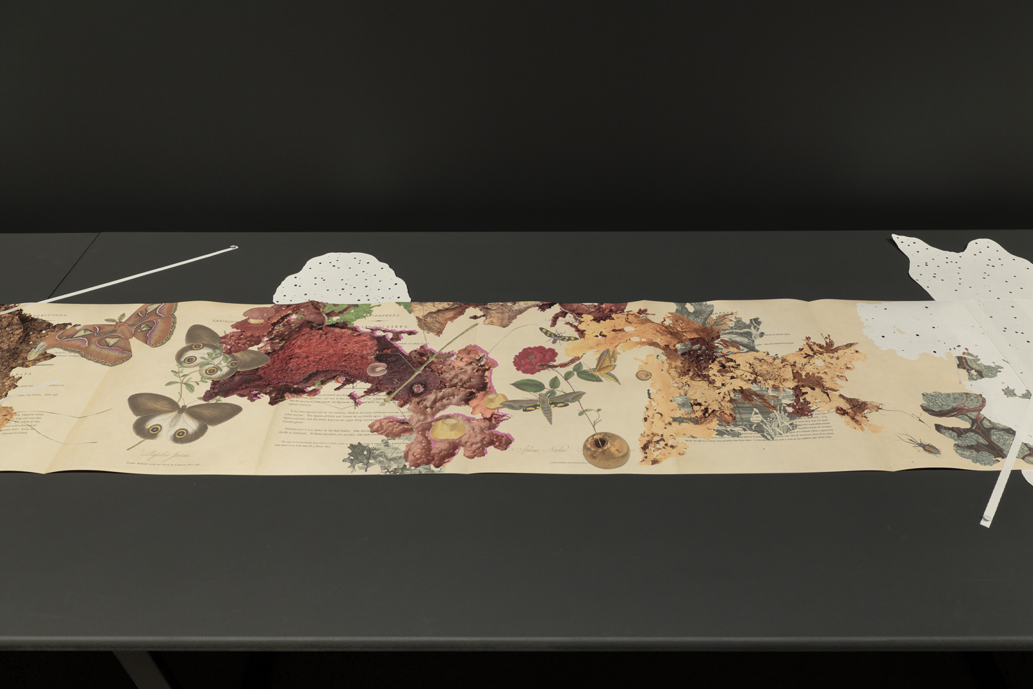 Gracia Haby_Louise Jennison_Can we dream it_01.png