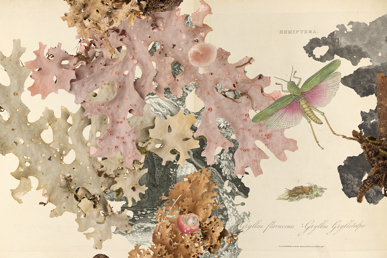 Gracia Haby_Louise Jennison_Can we dream it_19.png