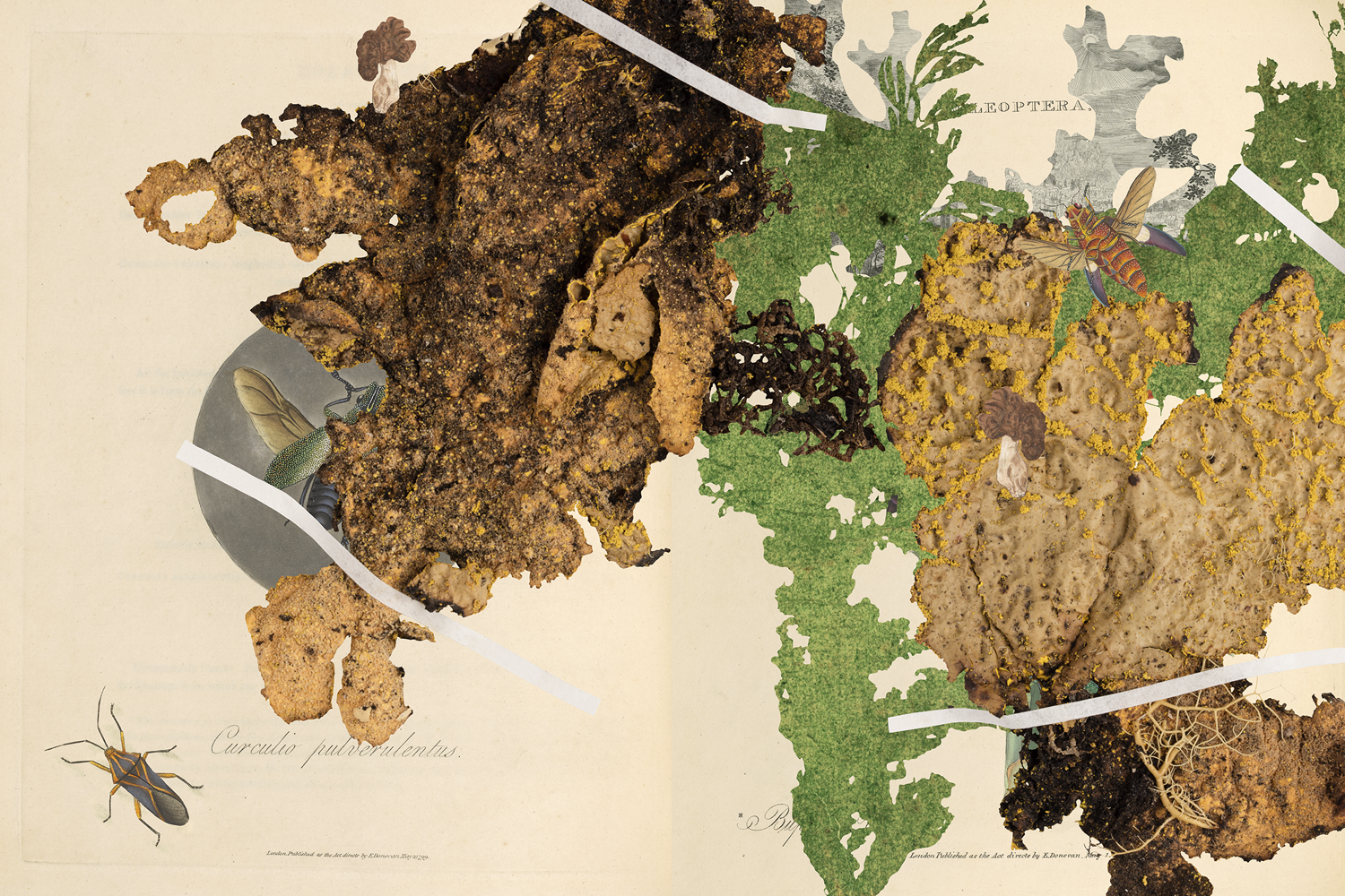 Gracia Haby_Louise Jennison_Can we dream it_18.png