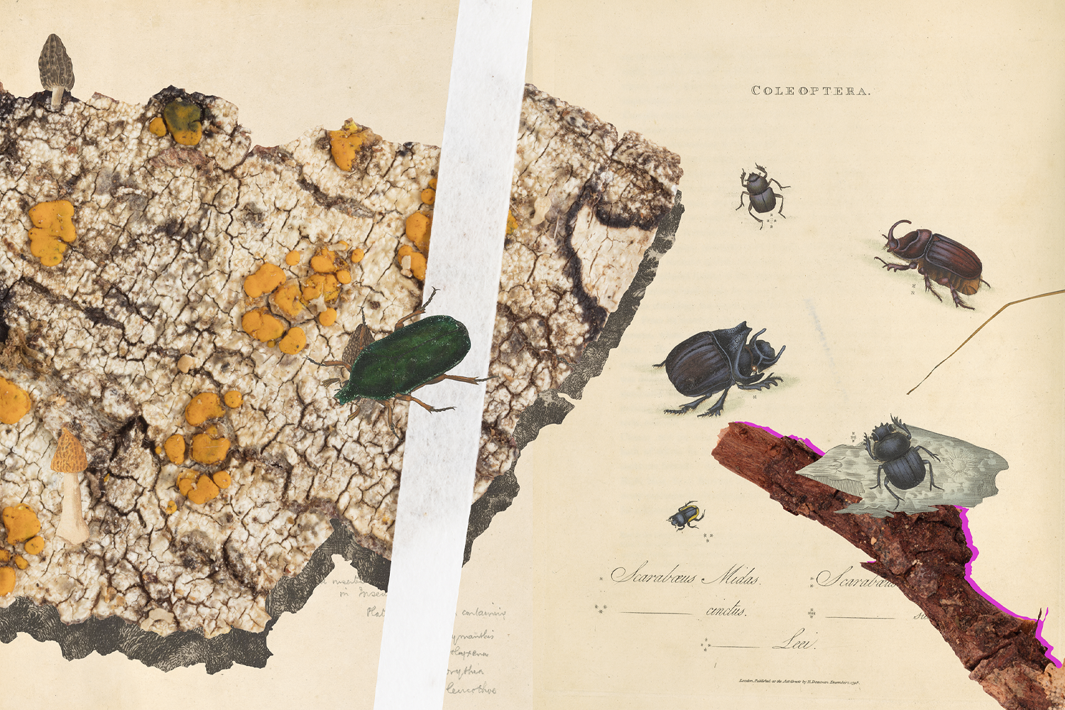 Gracia Haby_Louise Jennison_Can we dream it_17.png