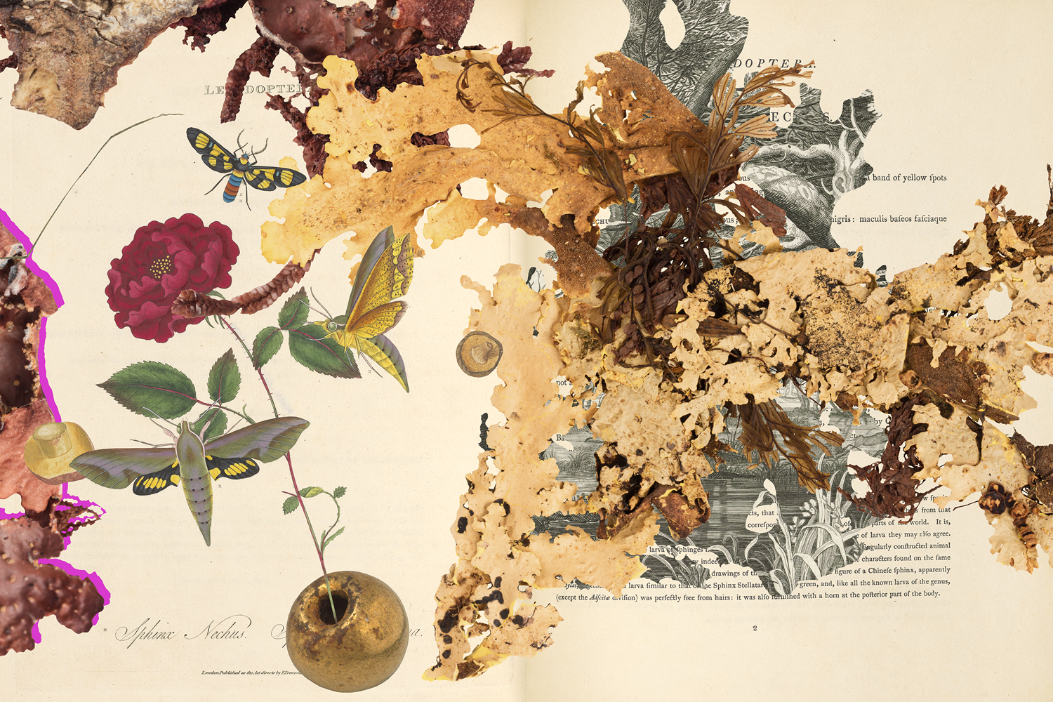 Gracia Haby_Louise Jennison_Can we dream it_15.png