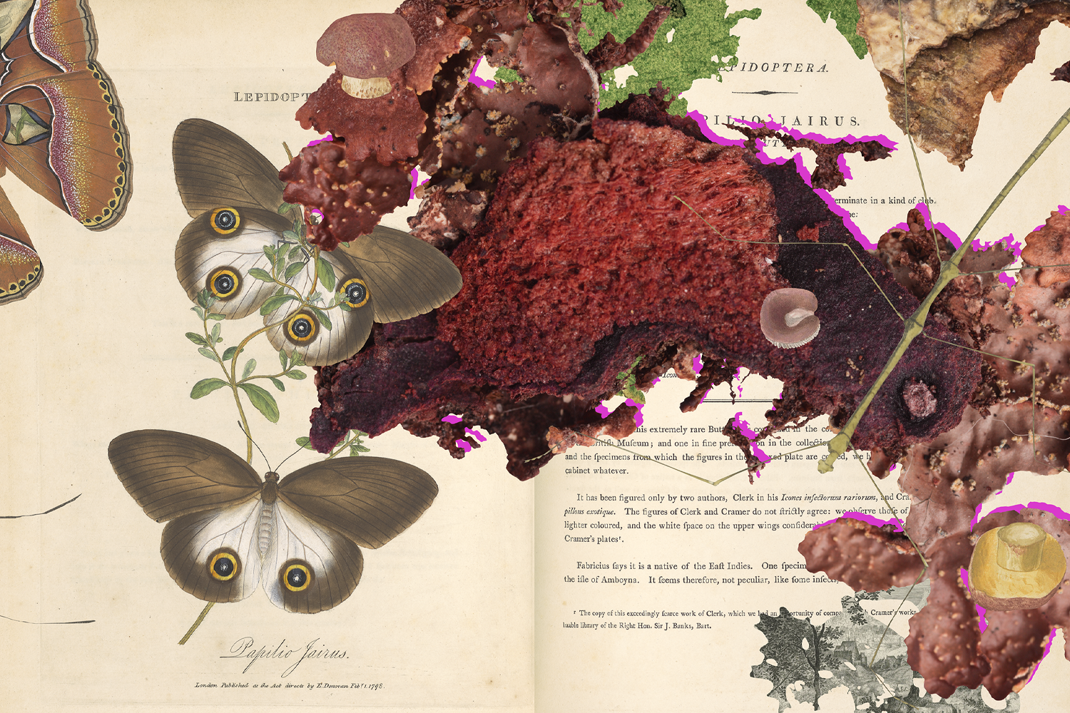 Gracia Haby_Louise Jennison_Can we dream it_14.png