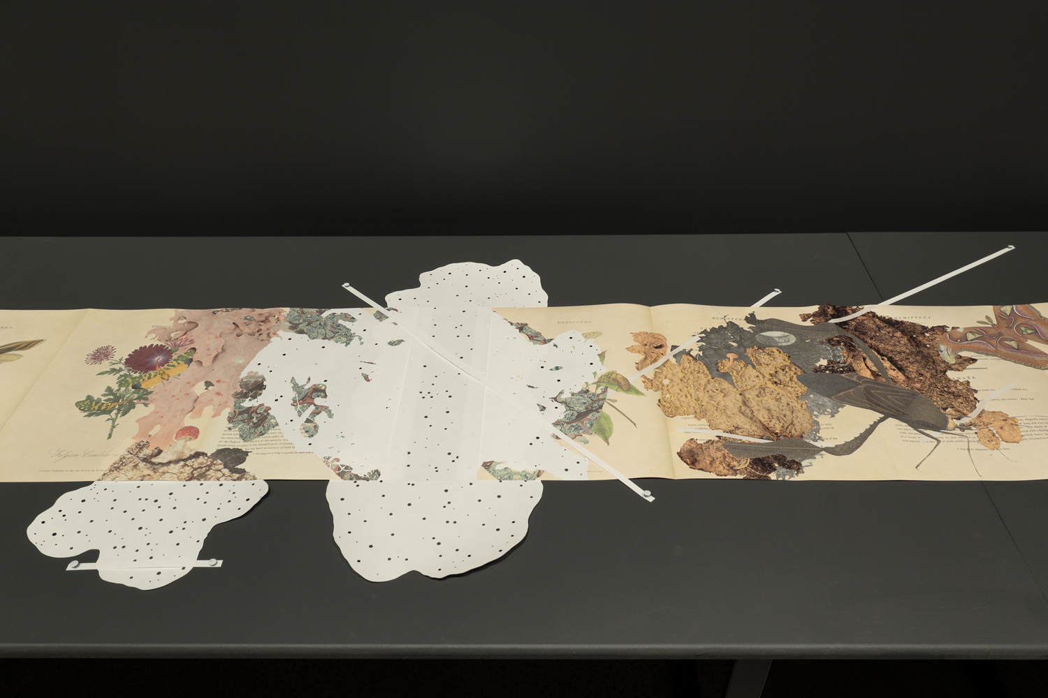 Gracia Haby_Louise Jennison_Can we dream it_08.png