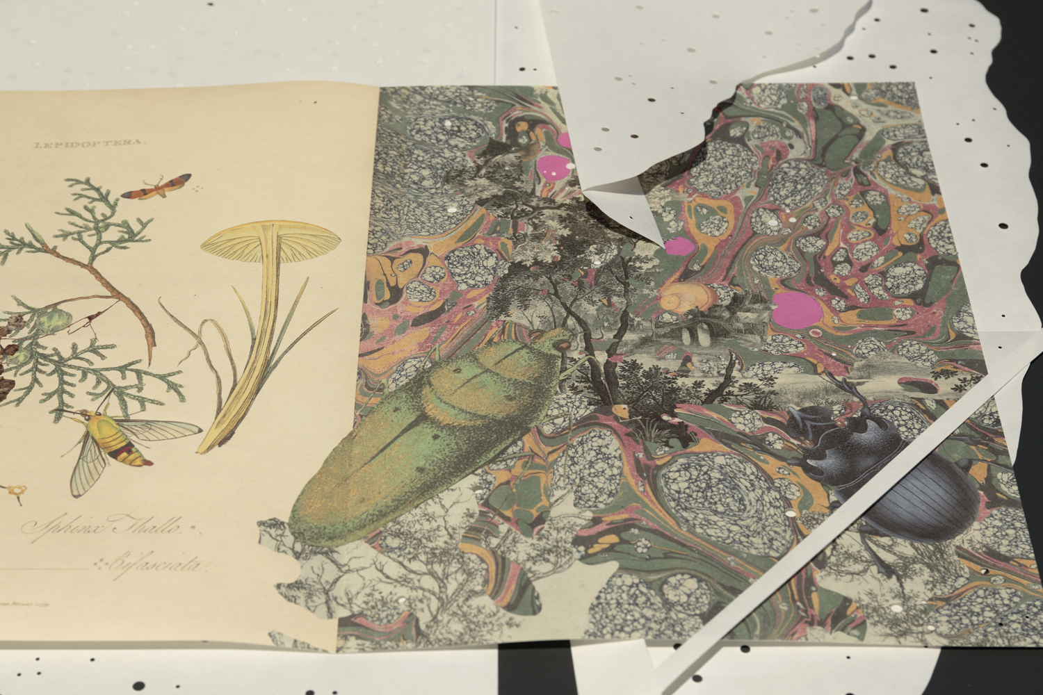 Gracia Haby_Louise Jennison_Can we dream it_07.png