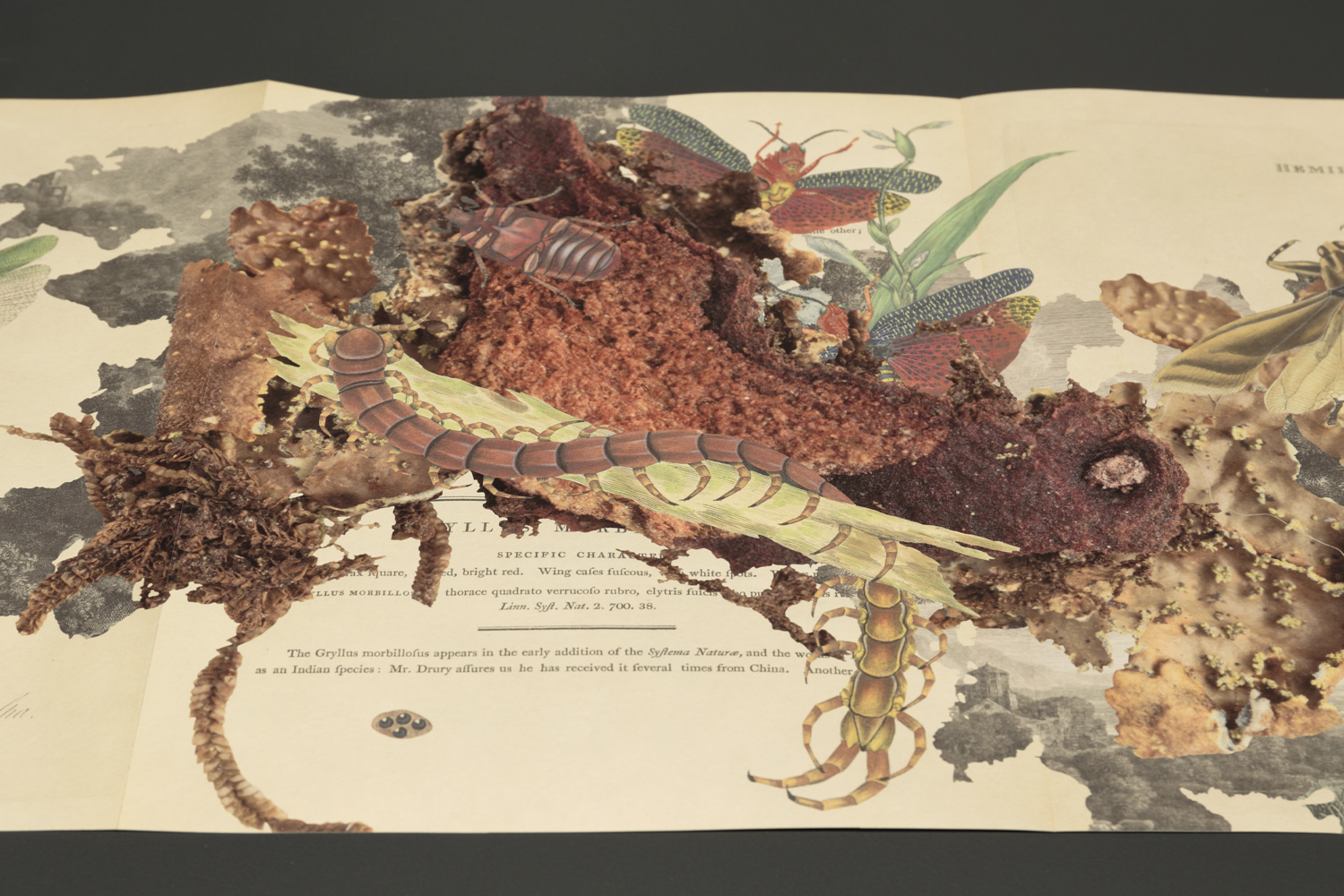 Gracia Haby_Louise Jennison_Can we dream it_05.png