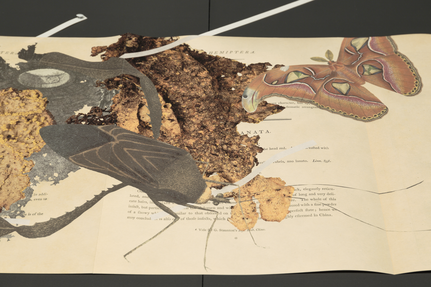 Gracia Haby_Louise Jennison_Can we dream it_04.png